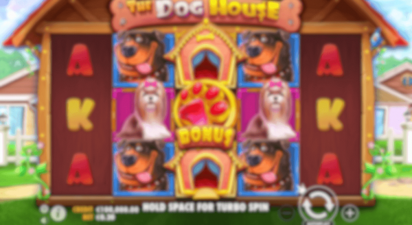 casino The Dog House